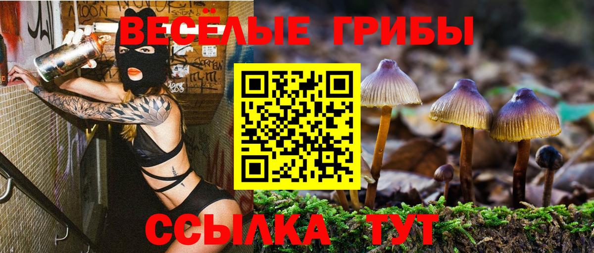 купить наркотики цена  Галлюциногенные грибы GOLDEN TEACHER  Архангельск  Вход с VPN  Псилоцибиновые грибы MAGIC MUSHROOMS 