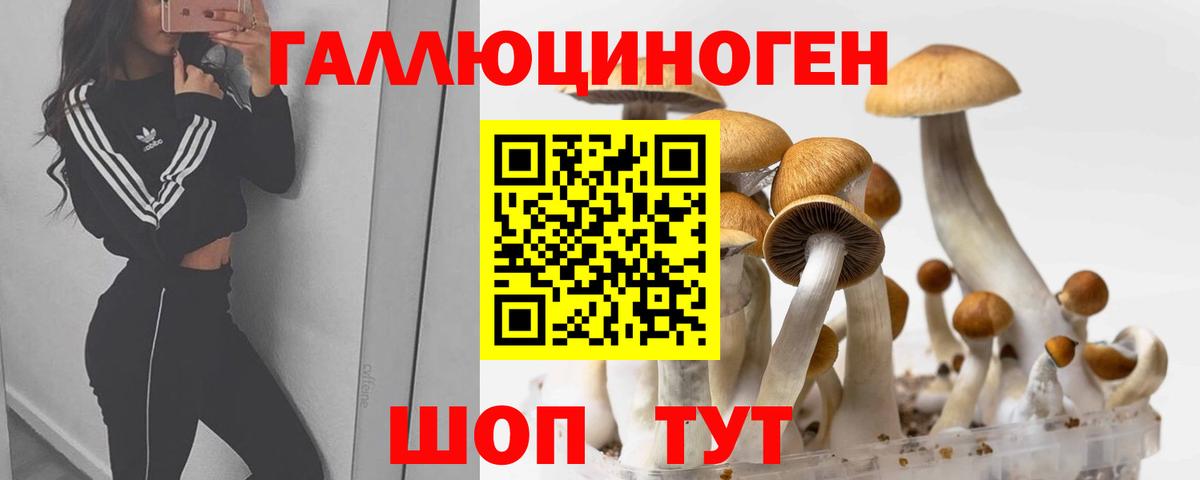 Псилоцибиновые грибы GOLDEN TEACHER Архангельск